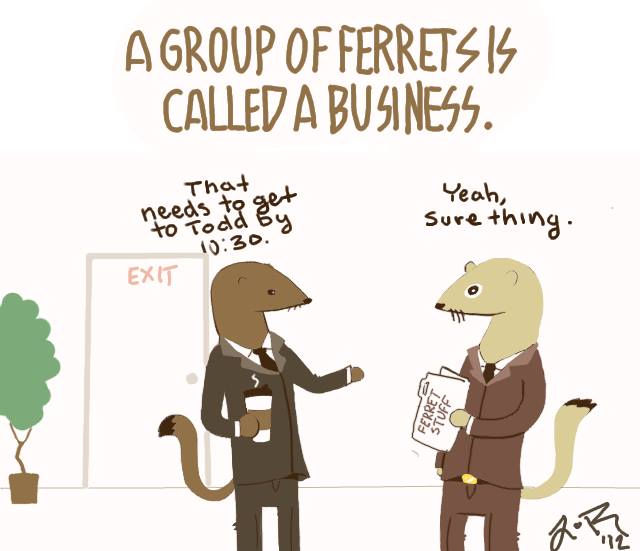 A group of ferrets is called a business.
